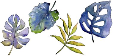 Bir suluboya tarzında izole tropikal yaprak.