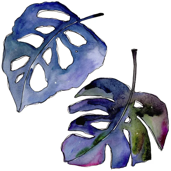Tropische bladeren in een aquarel stijl geïsoleerd. — Stockfoto