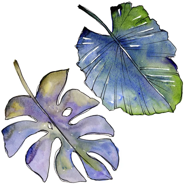 Bir suluboya tarzında izole tropikal yaprak.