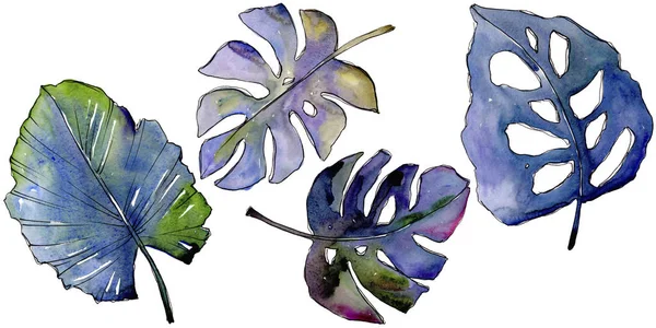 Bir suluboya tarzında izole tropikal yaprak.