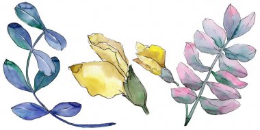 Akasya izole bir suluboya tarzında bırakır.