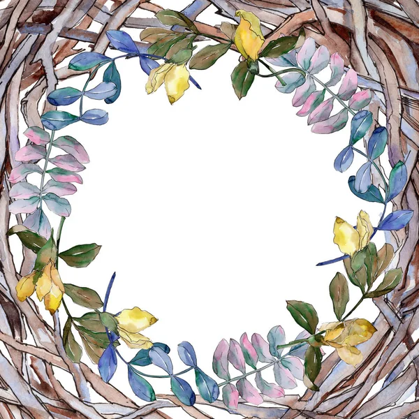 Acacia leaves frame in a watercolor style.