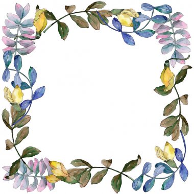 Akasya çerçeve bir suluboya tarzında bırakır..