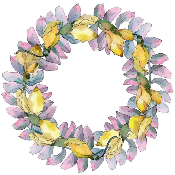 Acacia leaves wreath in a watercolor style. — Stock Photo, Image