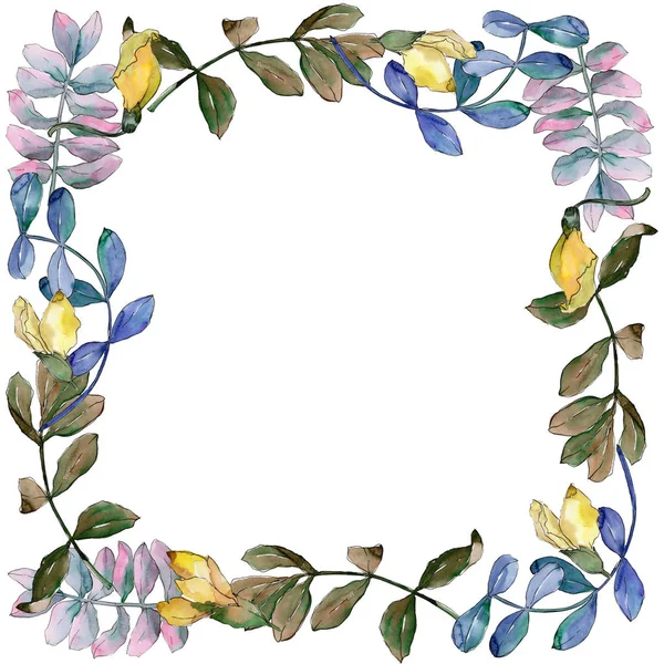 Acacia leaves frame in a watercolor style.