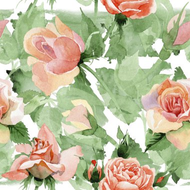 Kır çiçeği gül çiçek deseni suluboya tarzında.