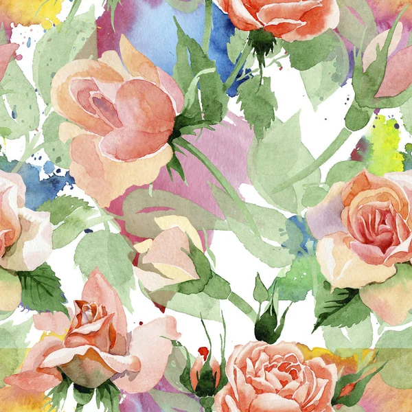 Wildflower rose flower pattern in a watercolor style. — Stock Photo, Image