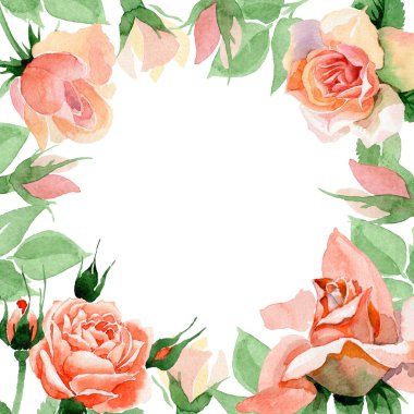 Kır çiçeği gül çiçek çerçeve suluboya tarzında.