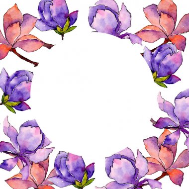 Kır çiçeği Manolya çiçek çerçeve suluboya tarzında.
