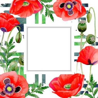 Kır çiçeği haşhaş çiçek çerçeve suluboya tarzında.