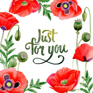 Kır çiçeği haşhaş çiçek çerçeve suluboya tarzında.