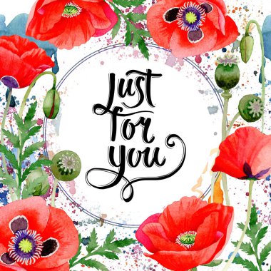 Kır çiçeği haşhaş çiçek çerçeve suluboya tarzında.