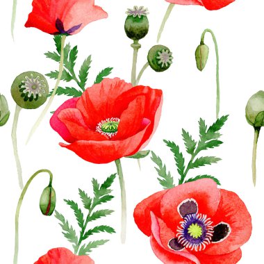 Kır çiçeği haşhaş çiçek deseni suluboya tarzında.