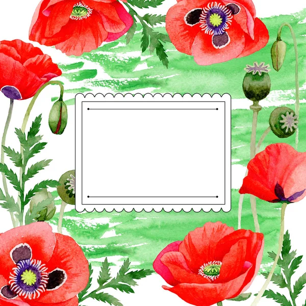 Wildflower poppy bloem frame in een aquarel stijl. — Stockfoto