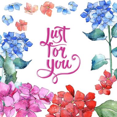 Kır çiçeği ortanca çiçek çerçeve suluboya tarzında.