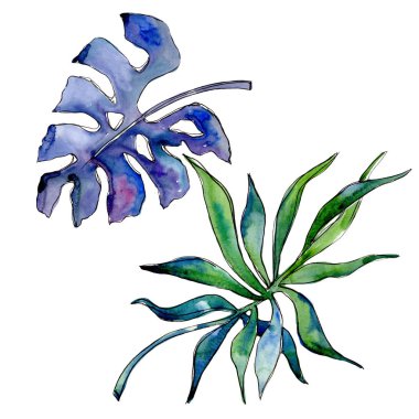 Tropikal yaprak suluboya tarzında izole.