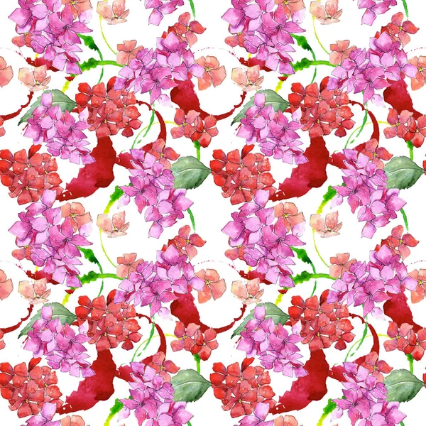 Цветочный узор цветка дикой гортензии в стиле акварели . — стоковое фото