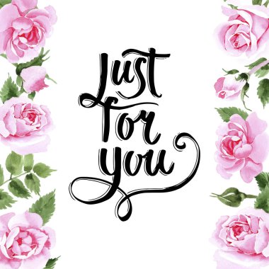 Kır çiçeği çay çiçek çerçeve suluboya tarzında gül.