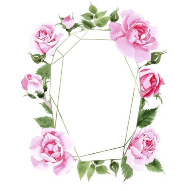 Kır çiçeği çay çiçek çelenk suluboya tarzında gül.