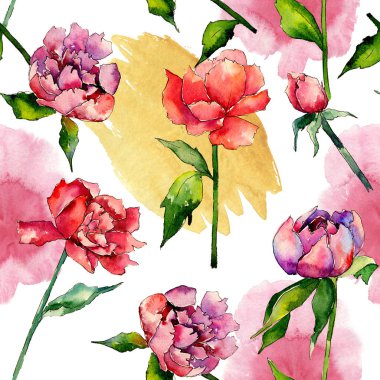 Kır çiçeği peony çiçek deseni suluboya tarzında.