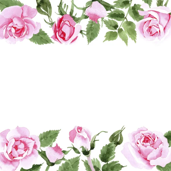 Chá de flores silvestres rosa moldura de flores em um estilo aquarela . — Fotografia de Stock