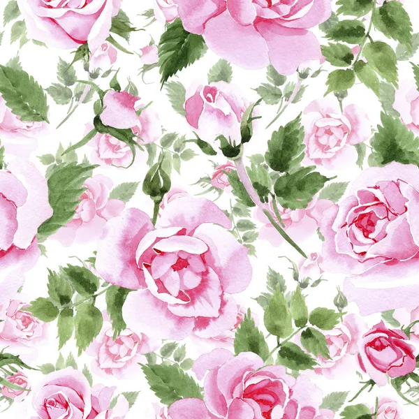 Wildflower chá rosa flor padrão em um estilo aquarela . — Fotografia de Stock