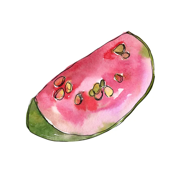 Exotisk guava vild frukt i akvarell stil isolerade. — Stockfoto