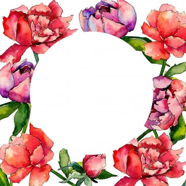 Kır çiçeği Şakayık çiçeği çerçeve suluboya tarzında.