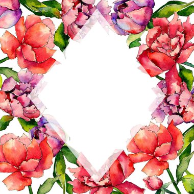 Kır çiçeği Şakayık çiçeği çerçeve suluboya tarzında.