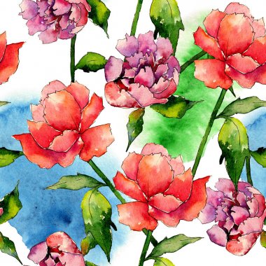 Kır çiçeği peony çiçek deseni suluboya tarzında.
