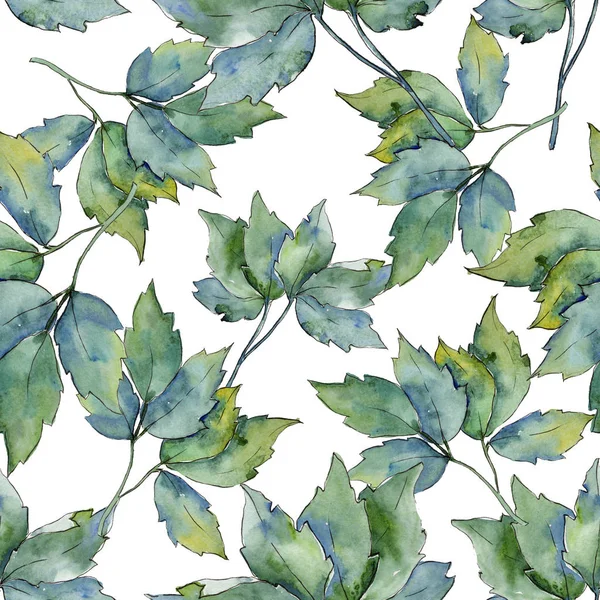 Feuilles d'érable motif dans un style aquarelle . — Photo