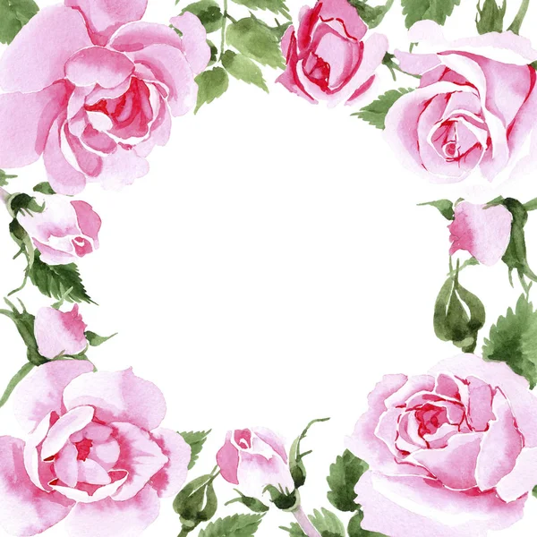 Wildflower tea rose flower frame in a watercolor style.