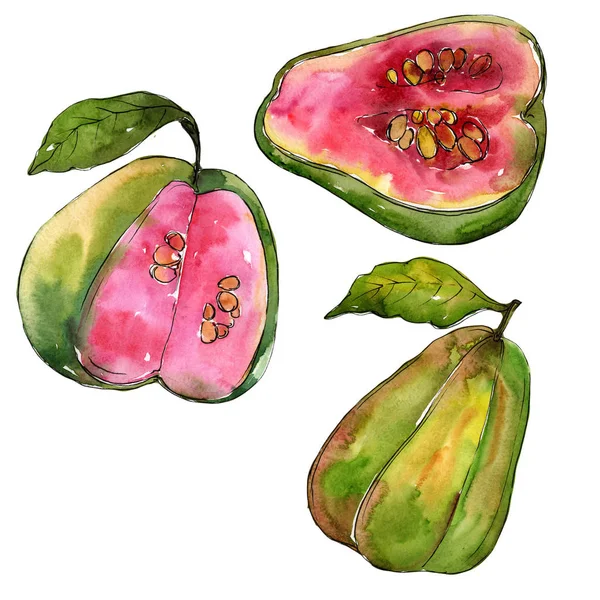 Goiaba exótica fruta selvagem em um estilo aquarela isolado . — Fotografia de Stock