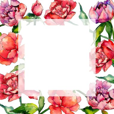 Kır çiçeği Şakayık çiçeği çerçeve suluboya tarzında.