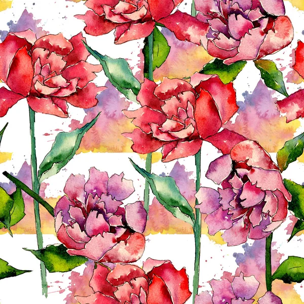 Wildflower peony flower pattern in a watercolor style. — Stock Photo, Image