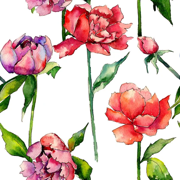 Wildflower peony flower pattern in a watercolor style. — Stock Photo, Image