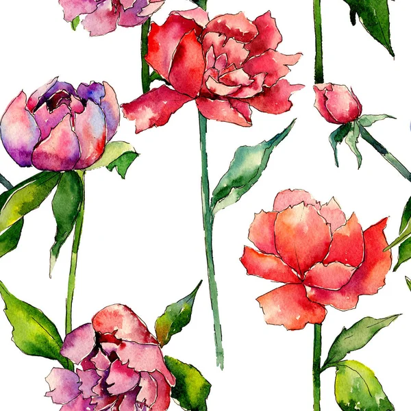 Modèle de fleur de pivoine de fleur sauvage dans un style aquarelle . — Photo