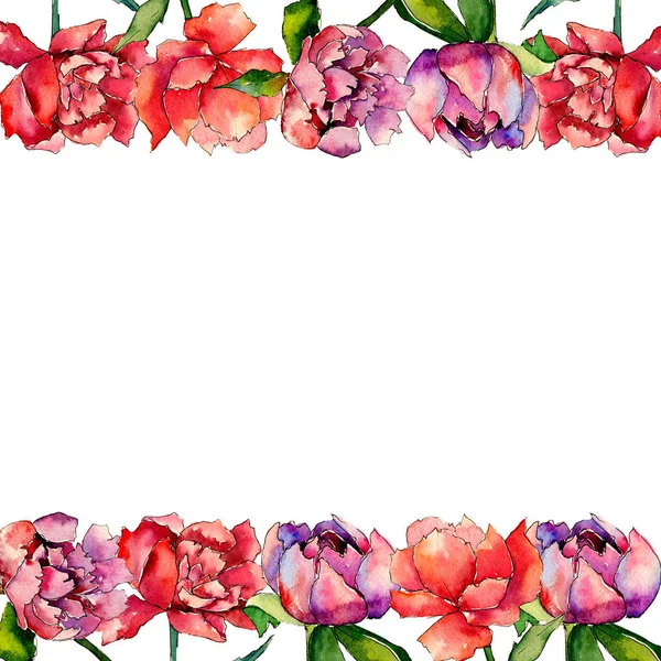 Wildflower peony flower frame in a watercolor style. — Stock Photo, Image