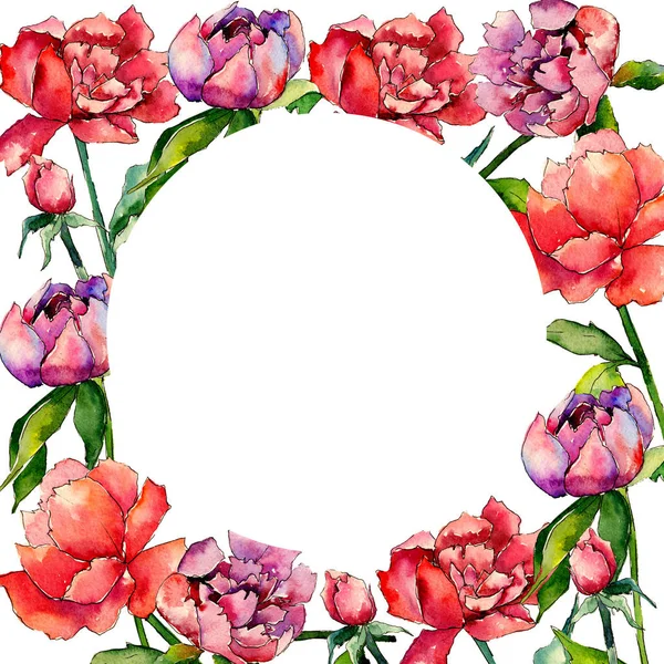 Wildflower peony flower frame in a watercolor style. — Stock Photo, Image