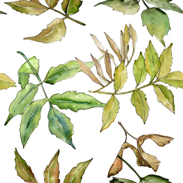 Padrão de folhas de cinza em um estilo aquarela . — Fotografia de Stock