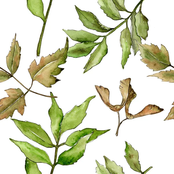 Patrón de hojas de ceniza en un estilo de acuarela . —  Fotos de Stock