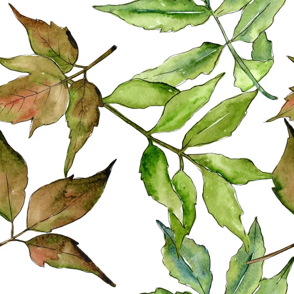 Patrón de hojas de ceniza en un estilo de acuarela . —  Fotos de Stock