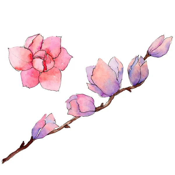 Fiore di magnolia Wildflower in stile acquerello isolato . — Foto Stock