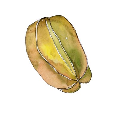 Egzotik carambola yabani meyve izole bir suluboya tarzında.