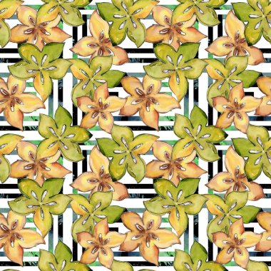 Egzotik carambola yabani meyve deseni suluboya tarzında.