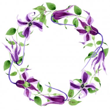 Kır çiçeği clematis hanajima çiçek çelenk suluboya tarzında.