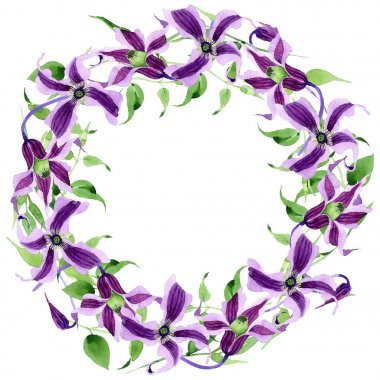 Kır çiçeği clematis hanajima çiçek çelenk suluboya tarzında.