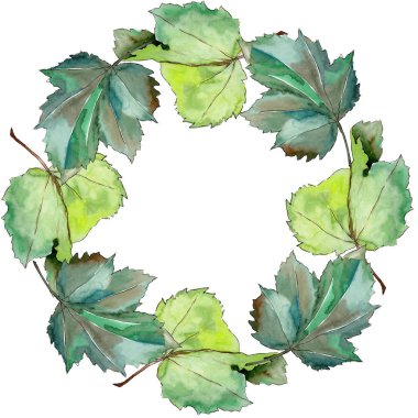 Frenk üzümü çelenk suluboya tarzında bırakır.