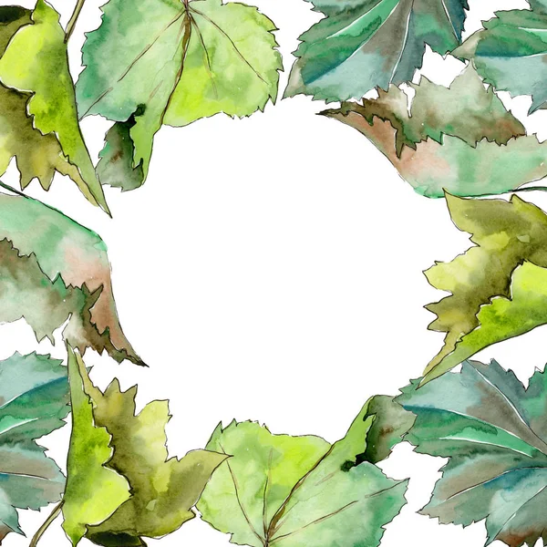 Πλαίσιο σταφίδα φύλλα σε στυλ υδροχρώματος. — Φωτογραφία Αρχείου