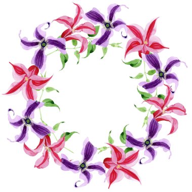 Kır çiçeği clematis hanajima çiçek çelenk suluboya tarzında.